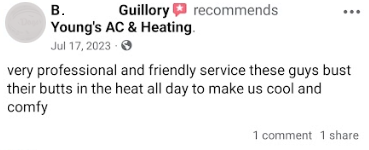 very professional and friendly service these guys bust their butts in the heat all day to make us cool and comfy